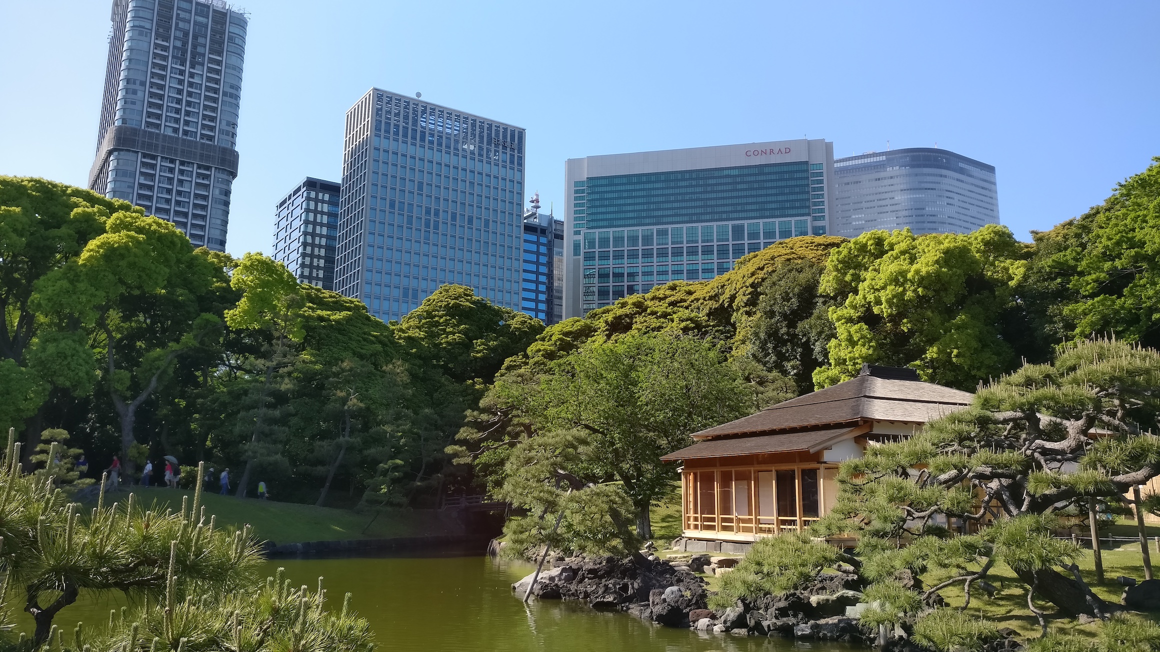 Hama-rikyu Gardens set against the rest of Tokyo