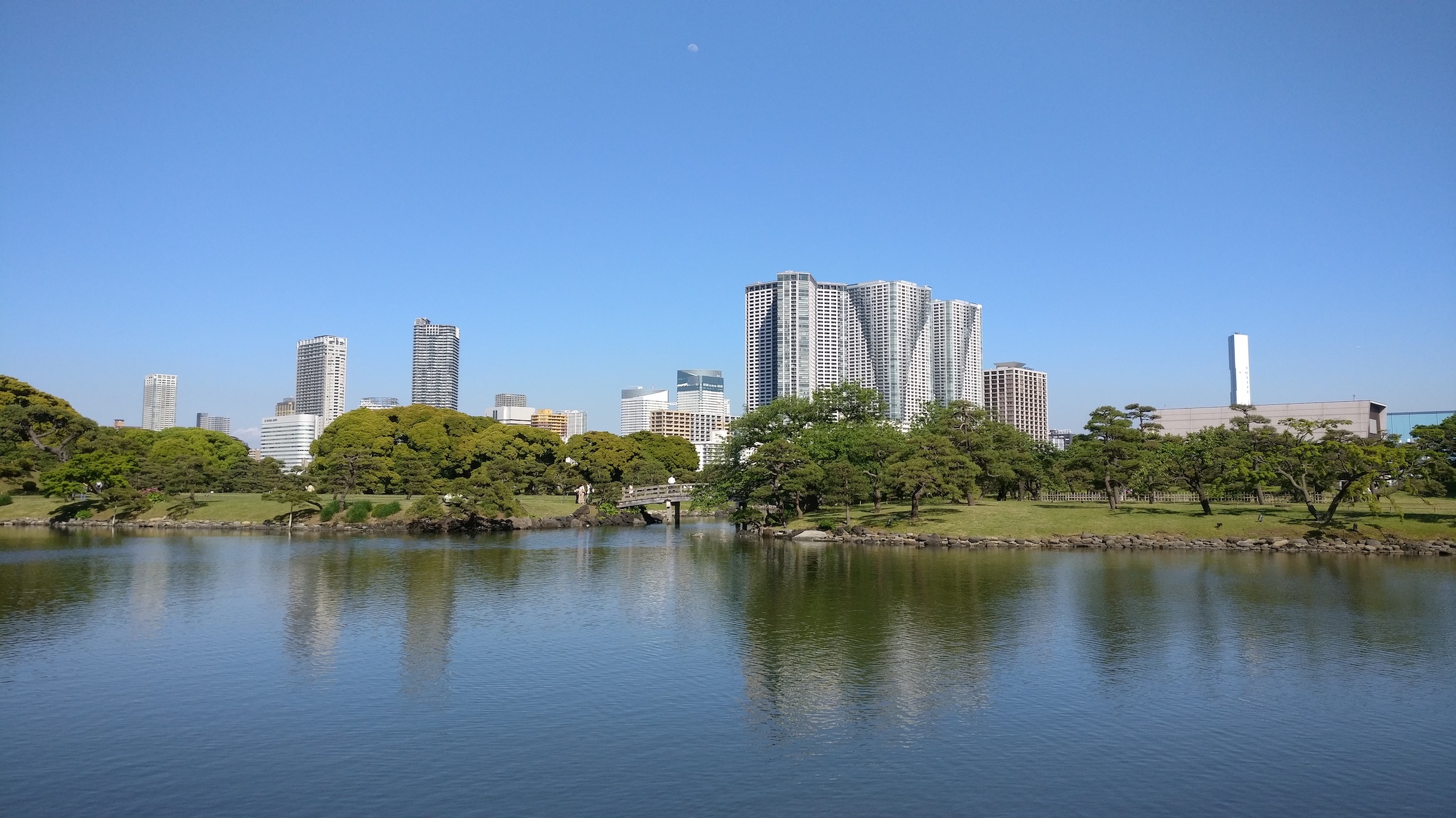 The park has lots of lakes and feels like a nice change of pace from the rest of the city