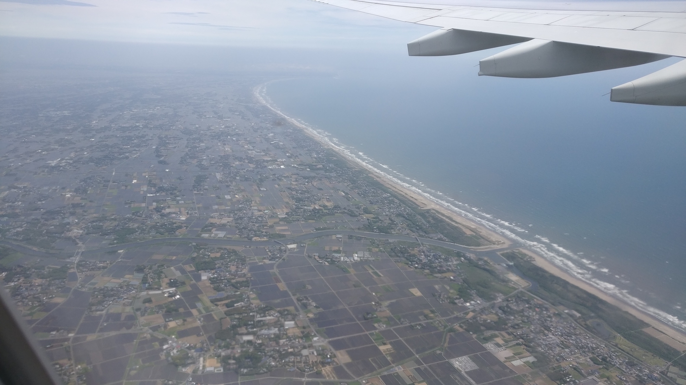 Rice paddies near Narita's coast