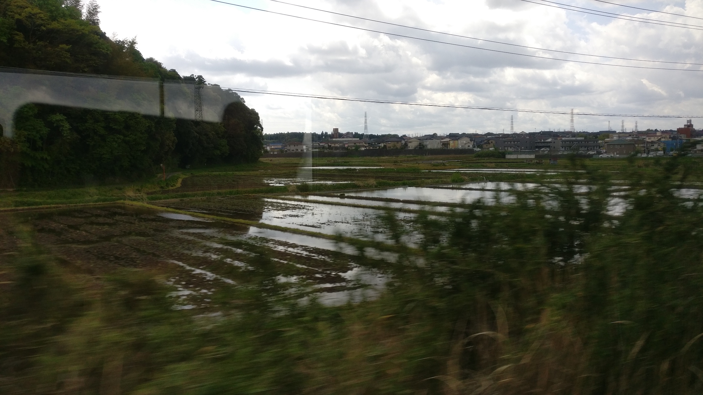Rice paddies from the train to Tokyo